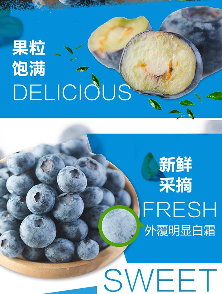 预售顺丰driscolls蓝莓浆果怡颗莓蓝莓王超大甜新鲜蓝莓鲜果4盒