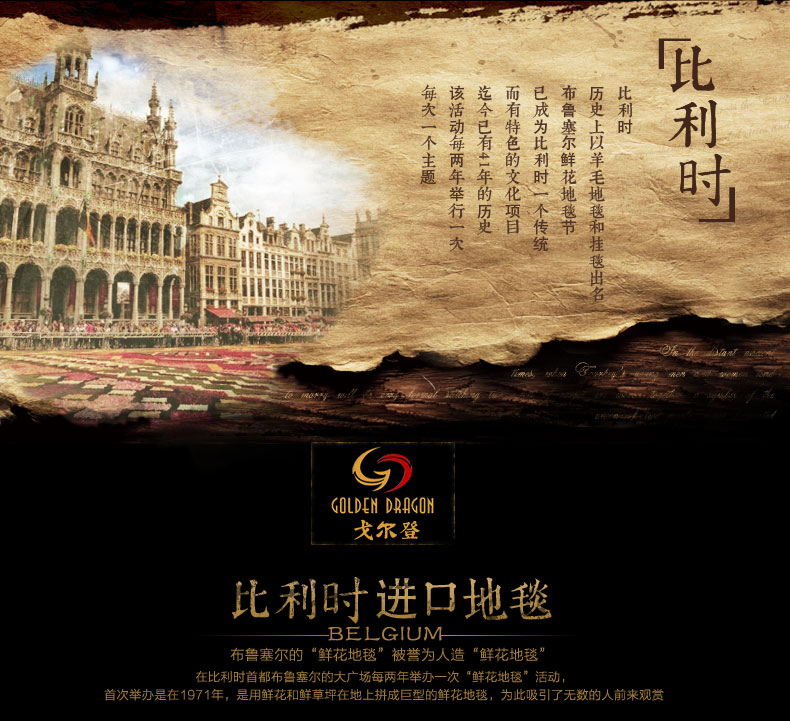 戈尔登地毯  欧式客厅地毯茶几沙发地毯卧室床边大地毯地垫 6295驼 160cmx230cm