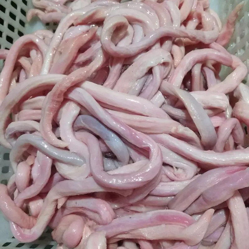 猪鞭500g 约15根左右 生鲜猪鞭 冷冻猪鞭 不带蛋 美食