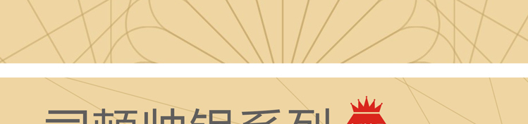 STONE司顿帅锅系列节能不锈钢微压汤锅STH035
