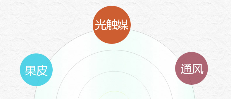 
                                                                                易卫士德国进口去除室内甲醛清除剂强力型新房装修新家具除味喷剂 (3瓶喷雾+8支雾化剂)                