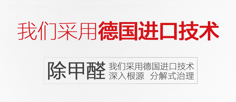 
                                                                                易卫士德国进口去除室内甲醛清除剂强力型新房装修新家具除味喷剂 (3瓶喷雾+8支雾化剂)                