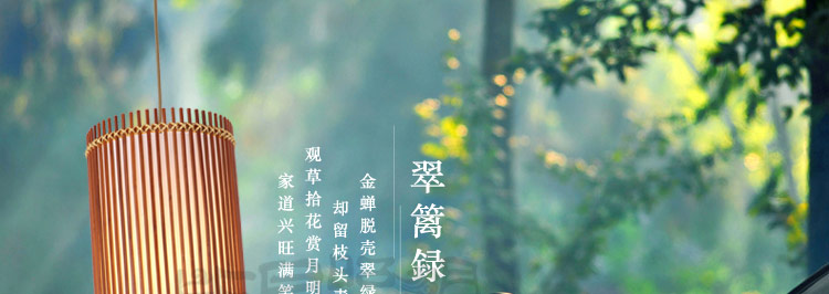 比月吊灯客厅餐厅茶楼日式简约灯具创意东南亚田园木质过道吊灯3236