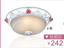 
                                        波西米亚 吊灯 灯饰餐厅 客厅欧式田园灯 创意玫瑰花婚庆灯具 3头                
