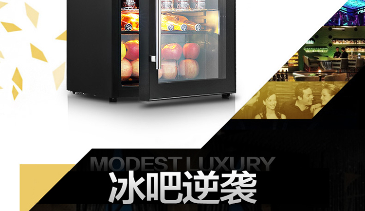 
                                        SKG 3607 95升 冷柜/冰吧 冷藏柜展示柜 立式冰柜 家用商用冰箱                