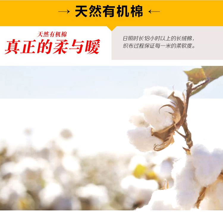 斯姿 2015新款秋冬季韩版卫衣运动服棒球女三件套时尚休闲套装 优雅红 L