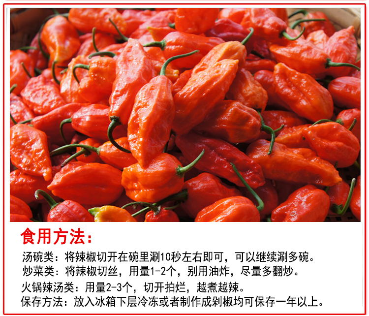 云南德宏涮涮辣新鲜印度魔鬼辣椒超辣断魂椒变态辣250g