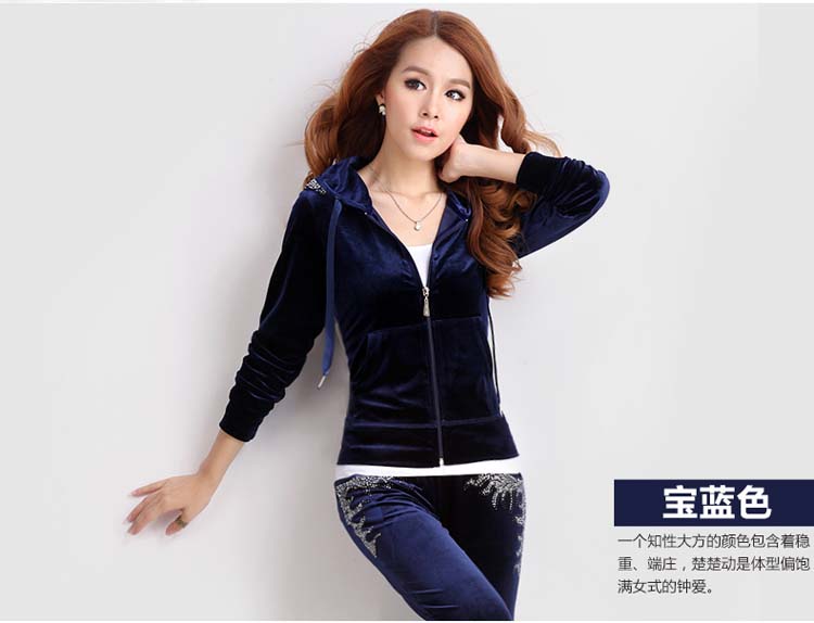 2015秋冬新款 金丝绒套装秋女2015卫衣套装女春秋运动套装女秋装时尚潮 啡紫色 M