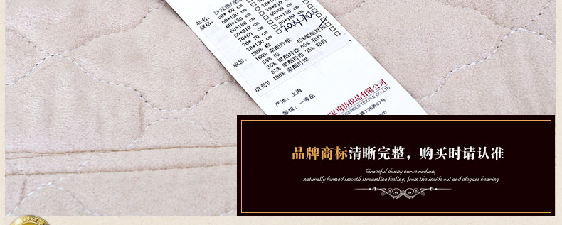 真琴 欧式沙发抱枕办公室午睡靠垫套车用靠背 丝绒压花 须须款 60*60cm靠垫含芯