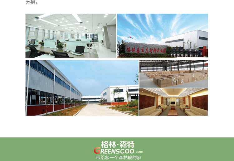 格林·森特 藻钙空气净化宝 家具新车装修新房除异味剂 去甲醛 优于活性炭800克