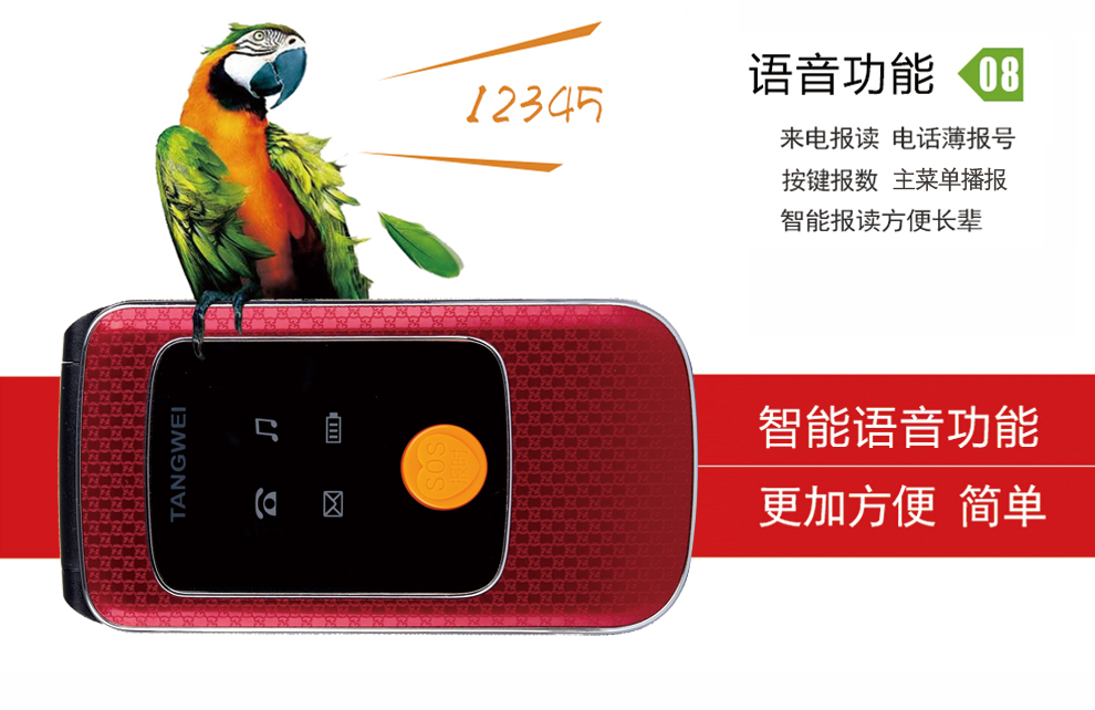 唐为（TANGWEI) TW100 GSM 移动/联通2G 老人手机 翻盖手机(双卡双待) 黑色