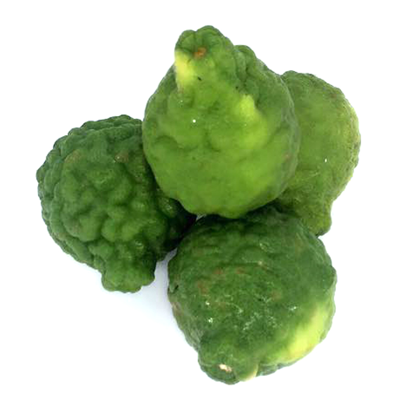 【618活动】泰国品种粗皮柠檬 皱皮柠檬 丑柠檬 青柠酸柑kaffir lime