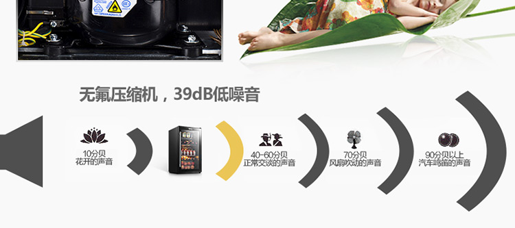
                                        SKG 3607 95升 冷柜/冰吧 冷藏柜展示柜 立式冰柜 家用商用冰箱                