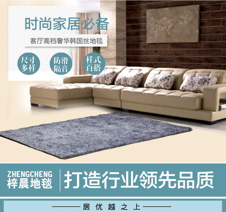 
                                        梓晨 简约现代客厅茶几地毯丝毛绒卧室床边满铺地毯 温馨银灰(厚度4.5cm) 80CMx160CM                