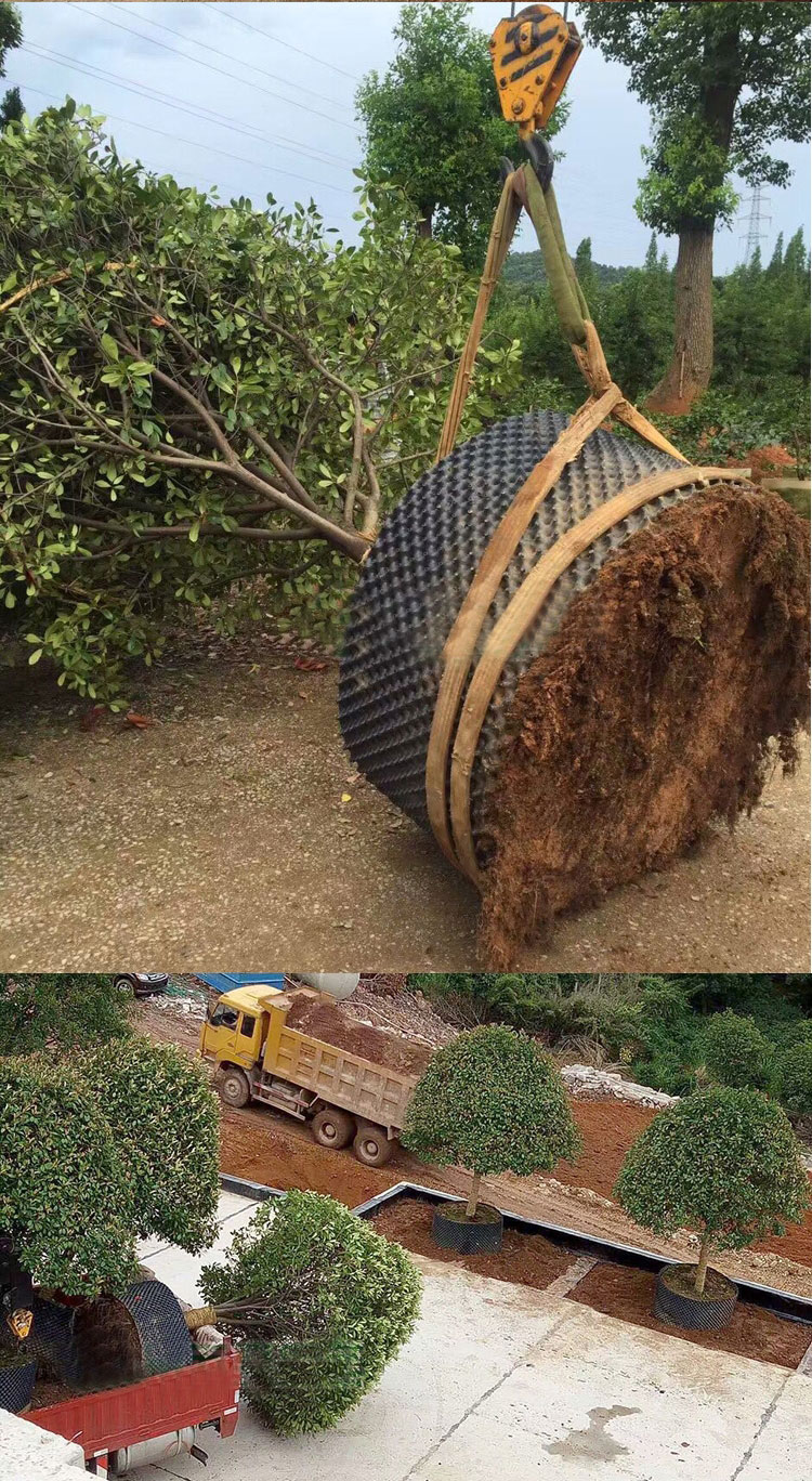 唯友weiyou控根器花盆盘景观植树围土栏园艺园林绿化多规格快育苗控根