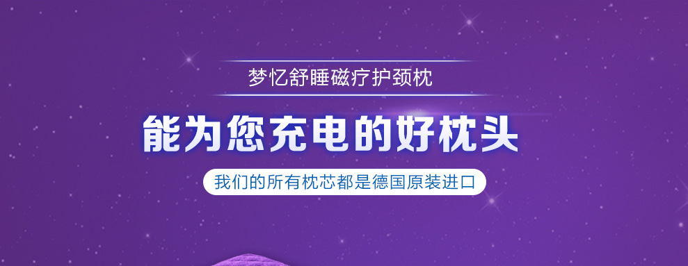 梦忆枕头 记忆枕颈椎枕头太空棉进口枕芯 温感零压枕-紫色