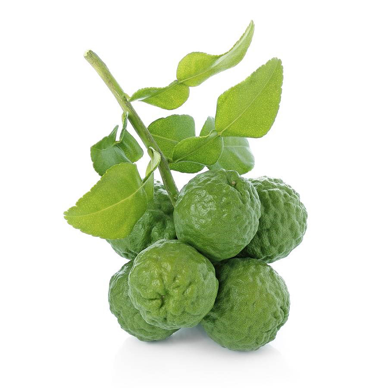 【618活动】泰国品种粗皮柠檬 皱皮柠檬 丑柠檬 青柠酸柑kaffir lime