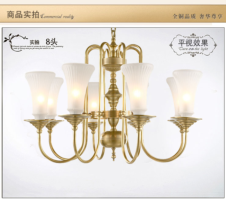 蒙特丽 客餐厅卧室吊灯 TDX3 欧式全铜灯具(B) 型号TT62-8头