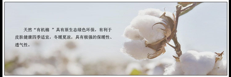 雪中飞女士保暖衬衫 时尚大格子加绒加厚弹力职业加棉衬衣8188-22 8188-26 36