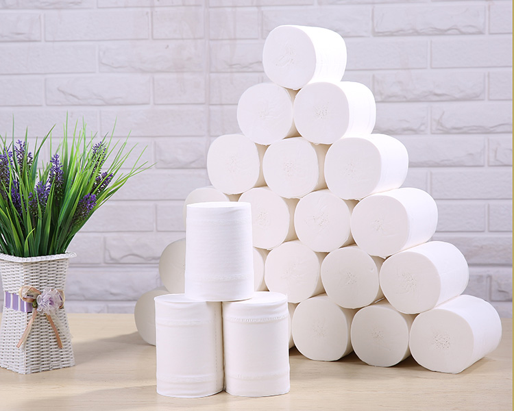 清洁纸品 卷纸 壹宝 6斤20卷12cm大卷卫生纸无心家用纸巾实心卷纸家庭