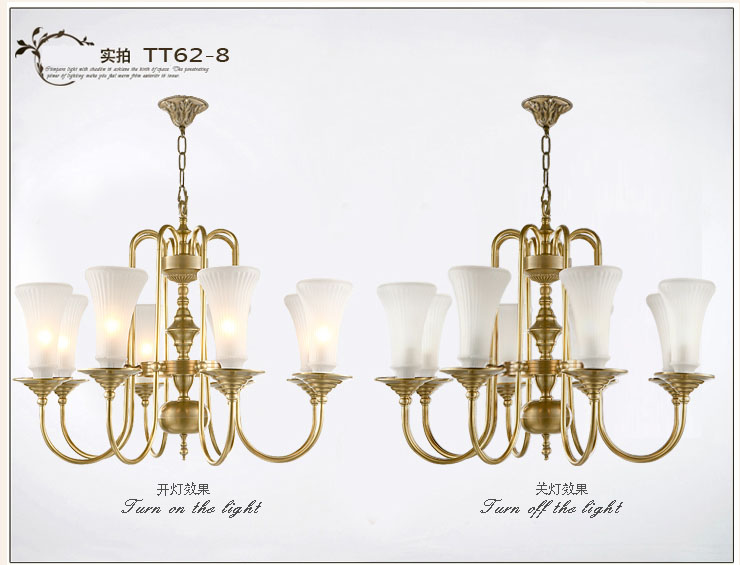 蒙特丽 客餐厅卧室吊灯 TDX3 欧式全铜灯具(B) 型号TT62-8头