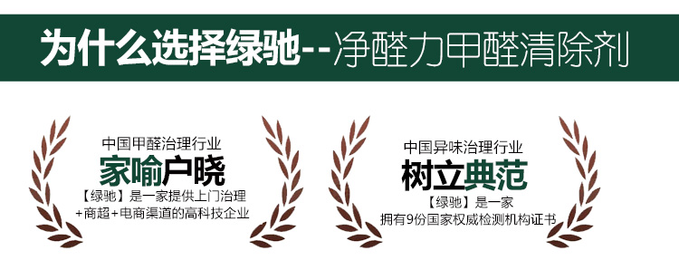 
                                        
                                                            绿驰 净醛力植物精华甲醛清除剂强力型 新装修去除甲醛苯捕捉剂 板材家具异味净化喷雾剂 500ml                