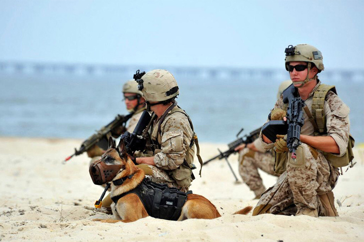 迷彩服户外蛙人服套装美陆作训服男式军迷 g3-acu 单裤30(77-80cm)