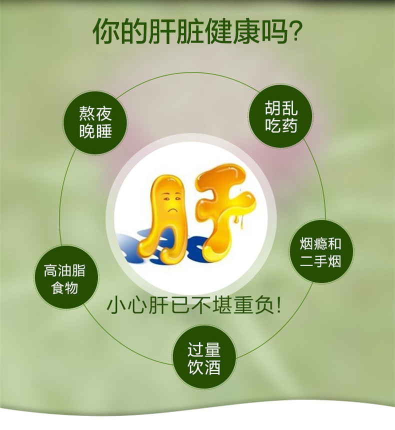 【香港直邮】枫之宝肝宝乳蓟草护肝片60粒 解酒醒酒护肝养肝排毒 改善