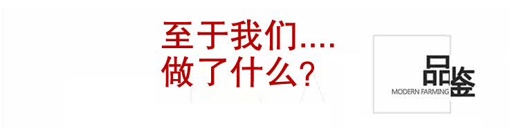 
                                        美双绝 （MSJ）美千禧 珠帘门帘屏风帘门帘窗帘隔断帘装饰门帘珠帘水晶珠帘玄关帘定制成品 特殊色                