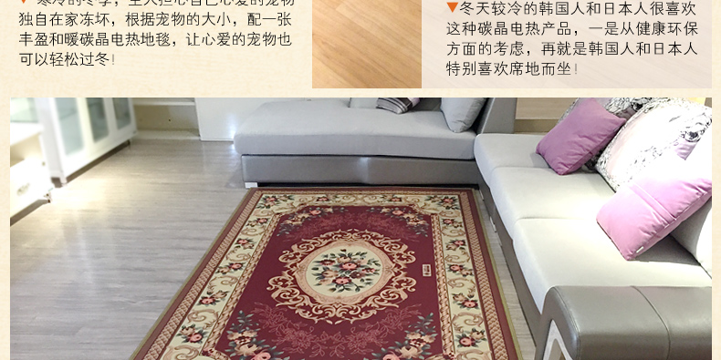 
                                        丰盈和暖碳晶电热坐垫 韩国远红外加热座垫 办公椅垫速热取暖垫 可调温节能加热垫45*45 棕色                