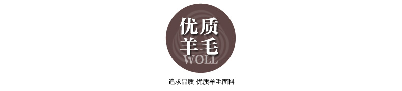 
                                        枫林梦2016秋冬新款女装OL韩版毛呢外套修身中长款大码羊毛毛呢大衣FB63 黑色 L                