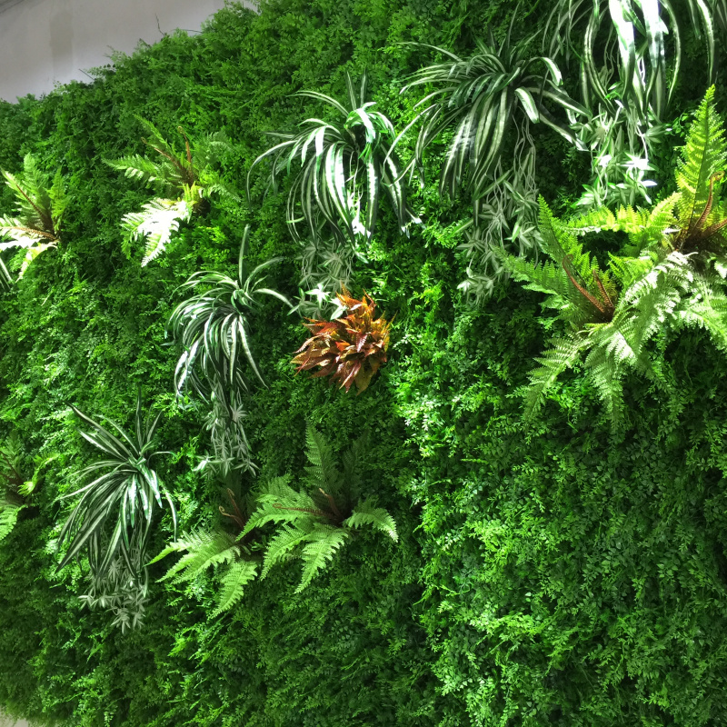 舒佩 仿真植物墙背景墙草坪绿化墙体地毯草皮假叶子挂墙绿植工程装饰