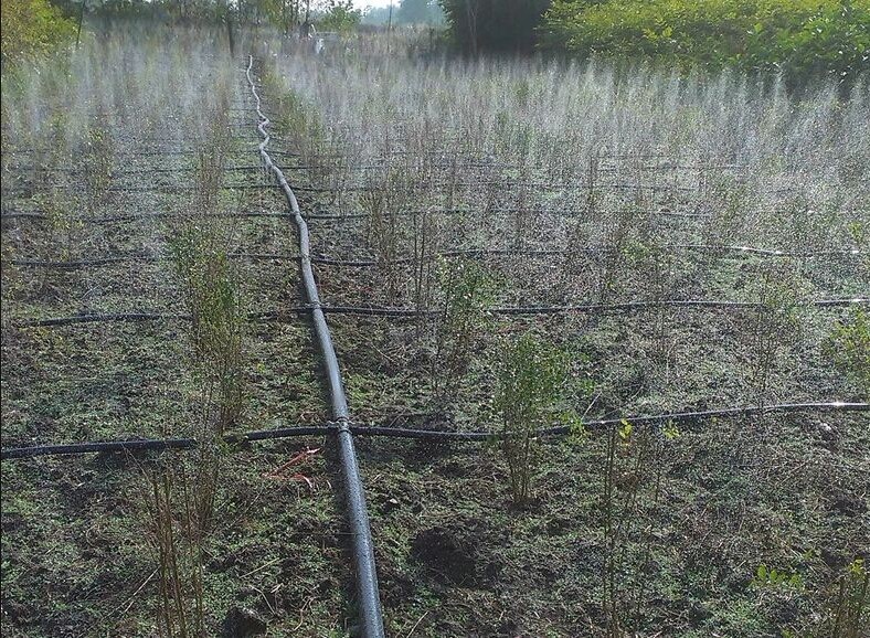 上客来 水管滴水灌带微喷带喷灌滴管带农用雾化带节水微喷水管喷带 3