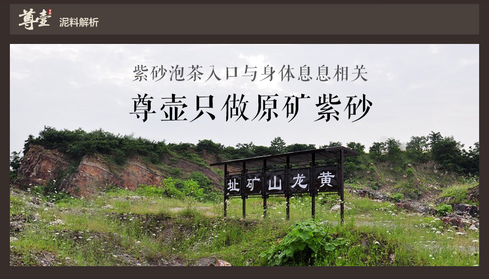 
                                                            尊壶 宜兴紫砂茶叶罐茶缸普洱茶罐茶盒密封醒茶罐装散茶罐子 彩绘 菊                
