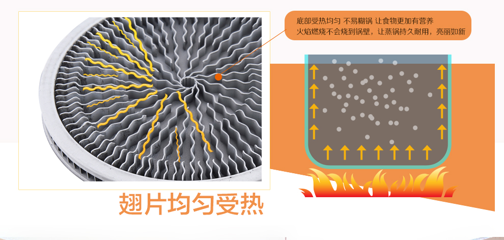 
                                        妇好蒸锅复合底速热翅片节能24cm 煤气灶燃气灶通用不锈钢锅无涂层煮锅 欧式24双层FHOS-24-01                