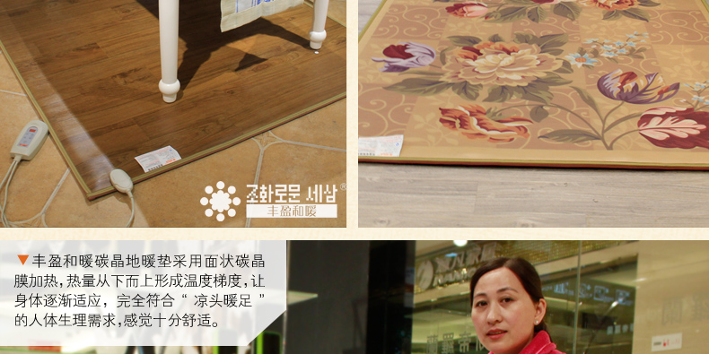 
                                        丰盈和暖碳晶电热坐垫 韩国远红外加热座垫 办公椅垫速热取暖垫 可调温节能加热垫45*45 棕色                