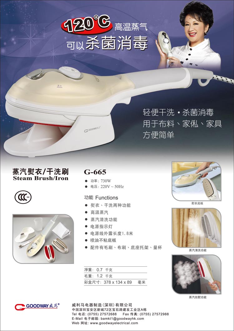
                                                            威马（GOODWAY）家用手持挂烫机 旅行便携熨烫机迷你蒸汽电熨斗 G-682紫色                