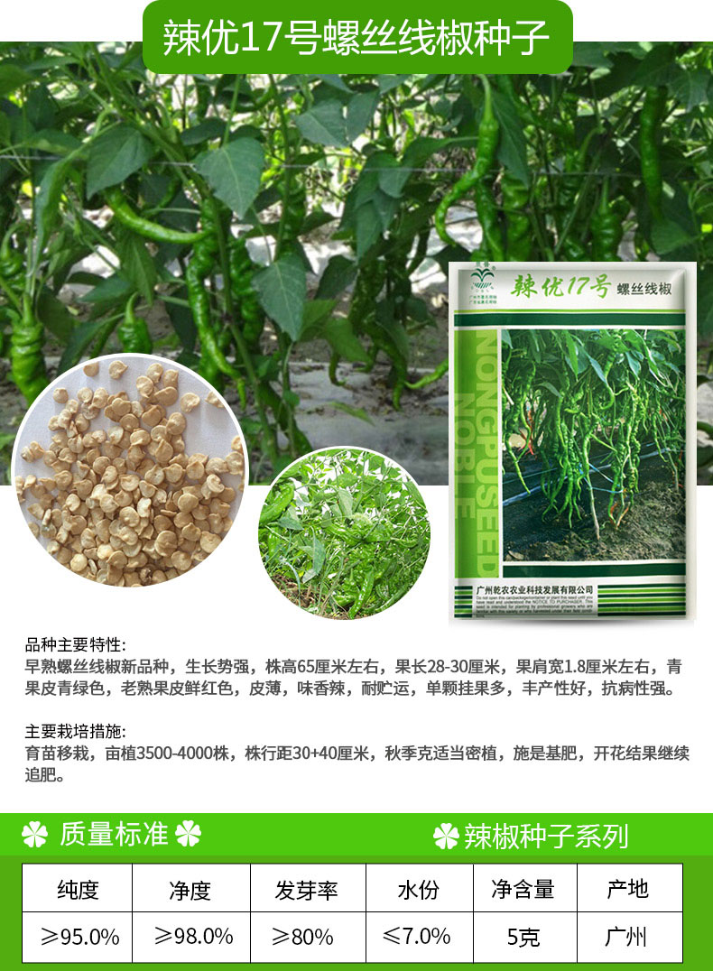 凤鸣雅世 尊龙螺丝椒种子 菜籽薄皮皱皮椒种籽蔬菜基地香辣椒籽阳台