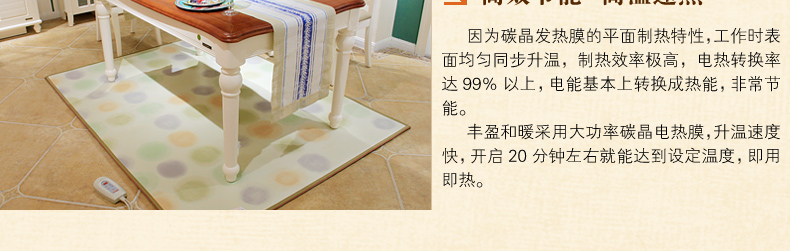 
                                        丰盈和暖碳晶电热坐垫 韩国远红外加热座垫 办公椅垫速热取暖垫 可调温节能加热垫45*45 棕色                