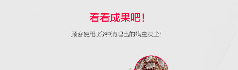 
                                        福玛特（fmart） 手持床铺杀菌除螨机除螨仪家用吸尘器 400UV-C                 