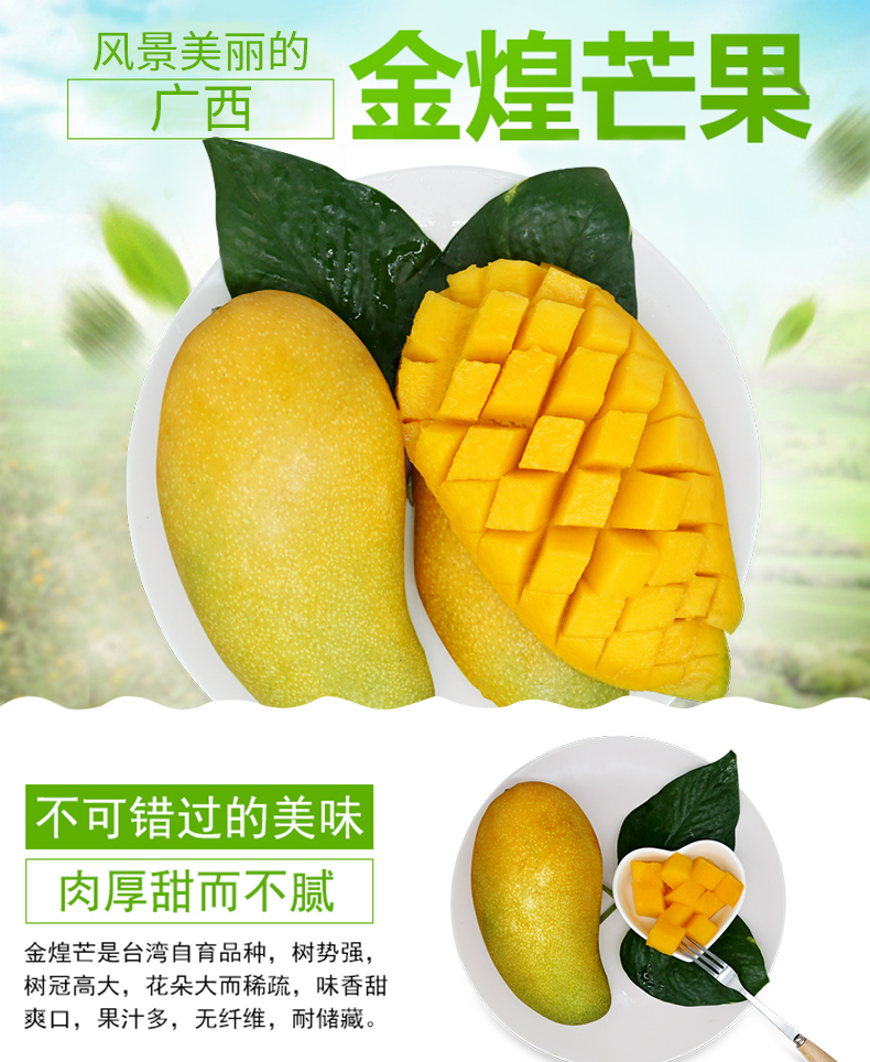 海南金煌芒5斤带箱大果青甜芒果生鲜青芒果当季新鲜水果3斤