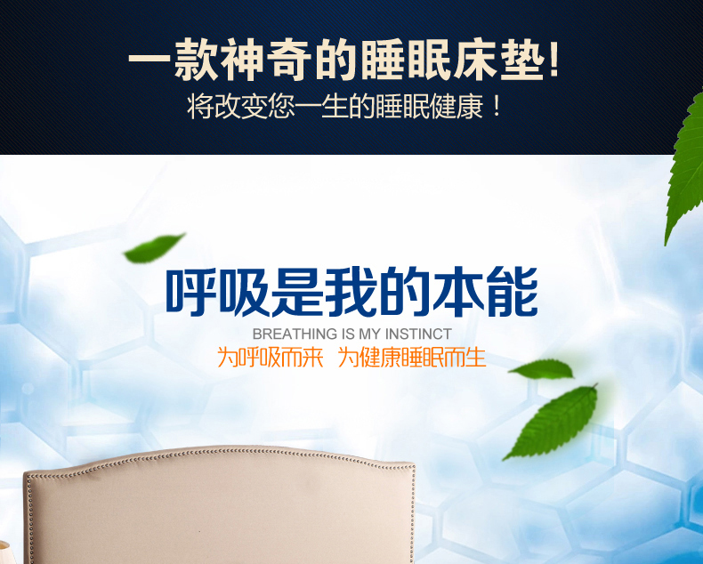
                                        帝菲雅 全棉床笠床罩单件席梦思床垫保护罩床垫罩单件床套 防滑床单 纯棉单床罩保护套床盖 蓝大格 120x200cm                