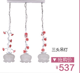 
                                        波西米亚 吊灯 灯饰餐厅 客厅欧式田园灯 创意玫瑰花婚庆灯具 3头                