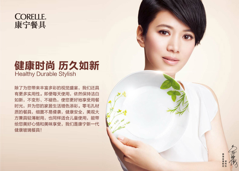 康宁餐具Corelle20件套装欧洲香草玻璃餐具饭碗深盘