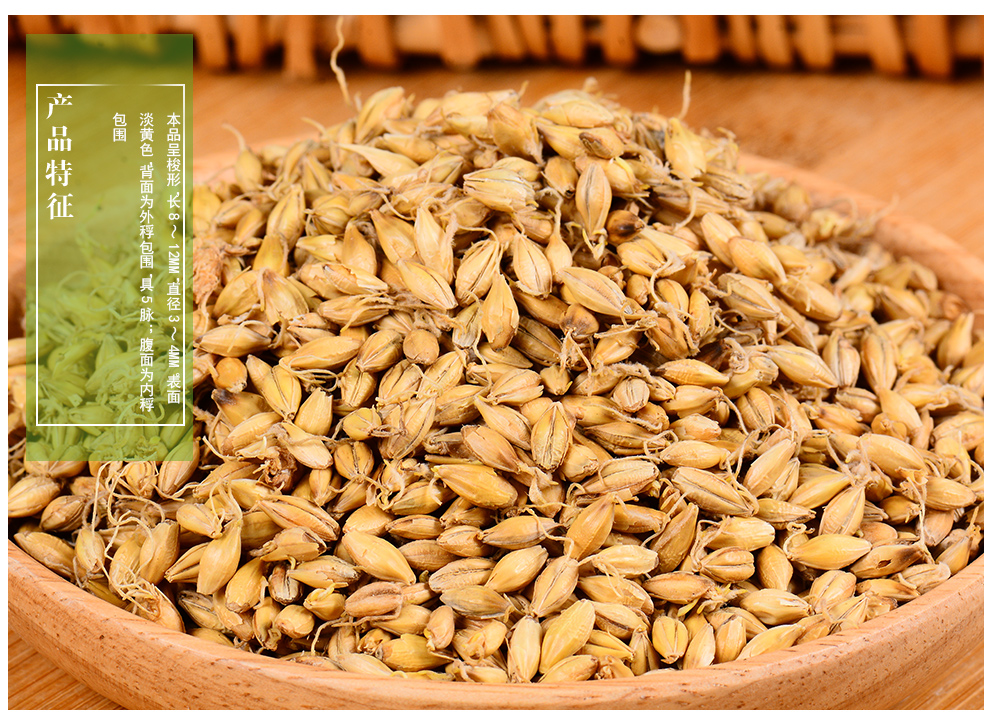 敬贤堂 生麦芽 麦芽茶 大麦茶 自种麦芽 生麦芽250g