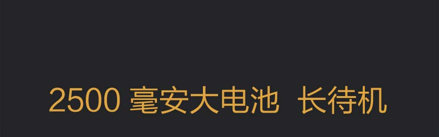 易丰（Ephone）E81 电信CDMA 2G 翻盖老人手机 黑色