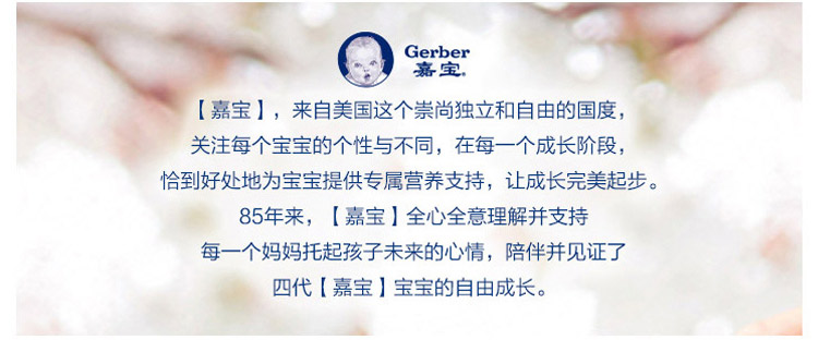 嘉宝（Gerber）婴幼儿米粉  宝宝辅食米糊 1段营养原味米粉225g 6个月以上宝宝