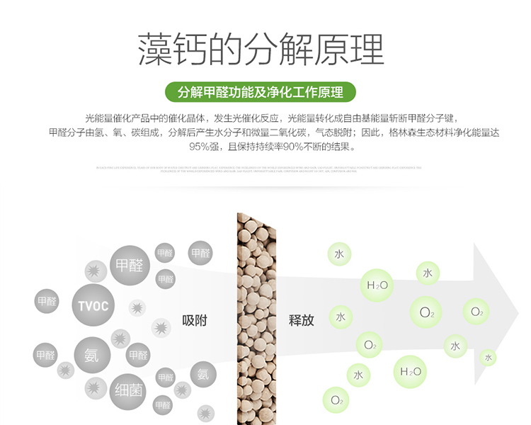 格林·森特 藻钙空气净化宝 家具新车装修新房除异味剂 去甲醛 优于活性炭800克
