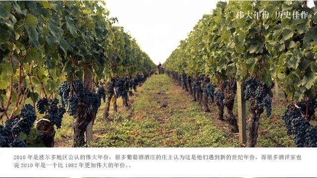 中粮名庄荟法国波尔多进口红酒品蒂花堡酒庄2013年干红葡萄酒750ml