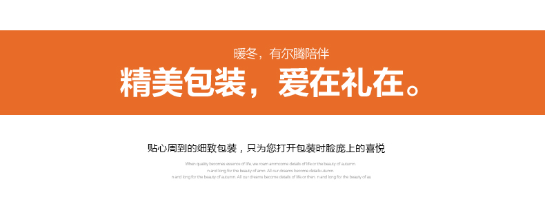 南极人热水袋暖手宝暖手袋电热宝暖宝 充电防爆已注水暖水袋 紫色-深咖布套